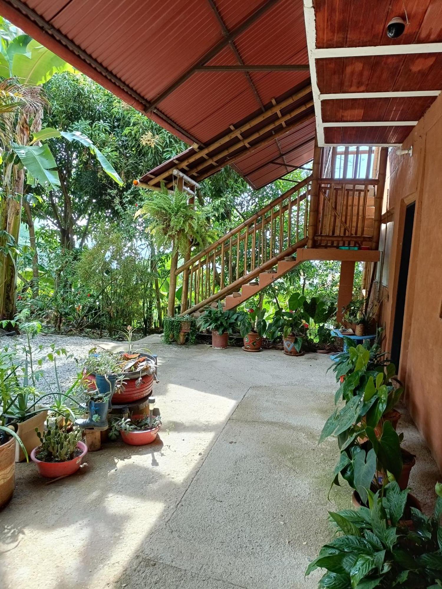 El Eden Minca Villa Ngoại thất bức ảnh