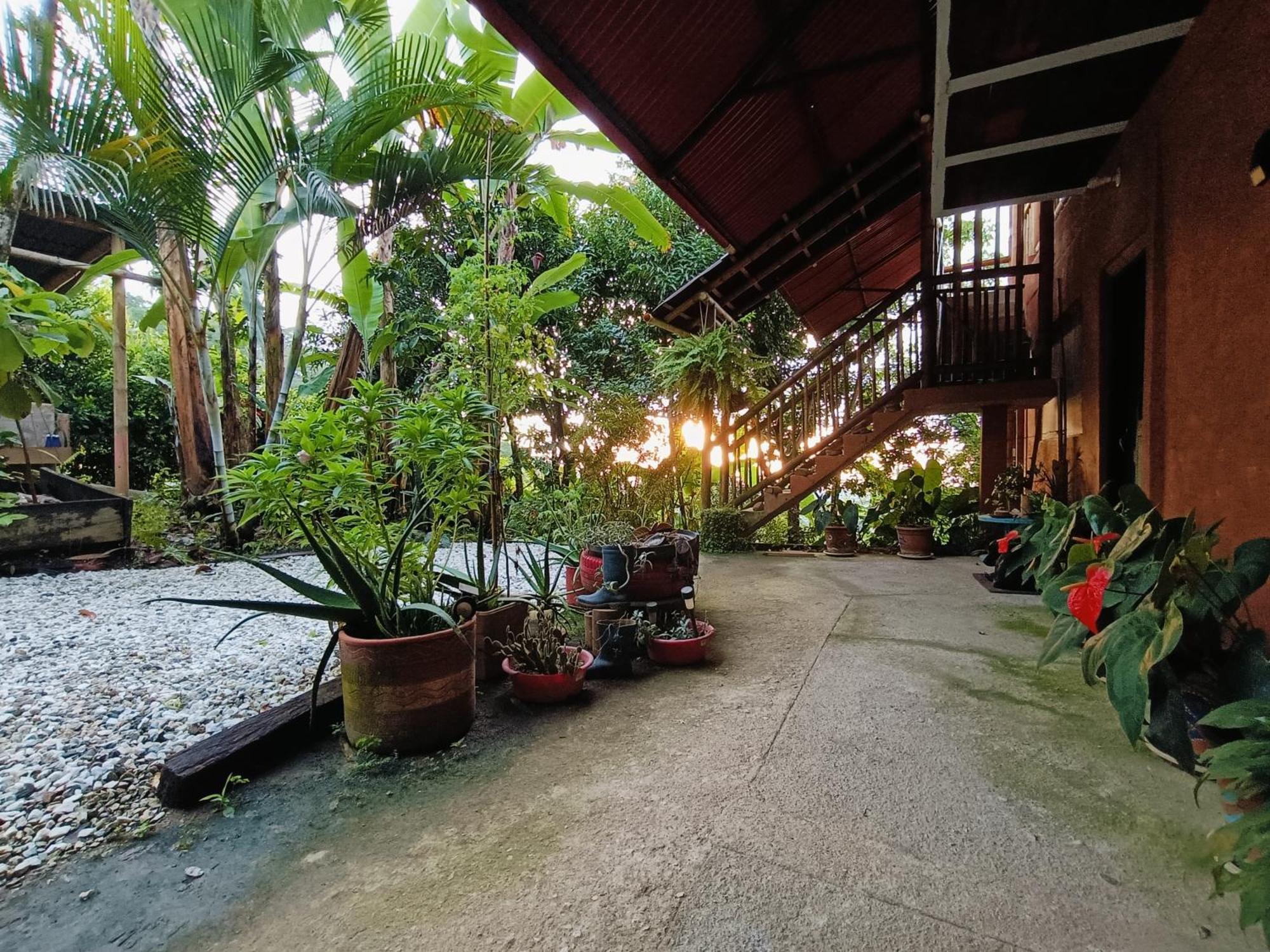 El Eden Minca Villa Ngoại thất bức ảnh