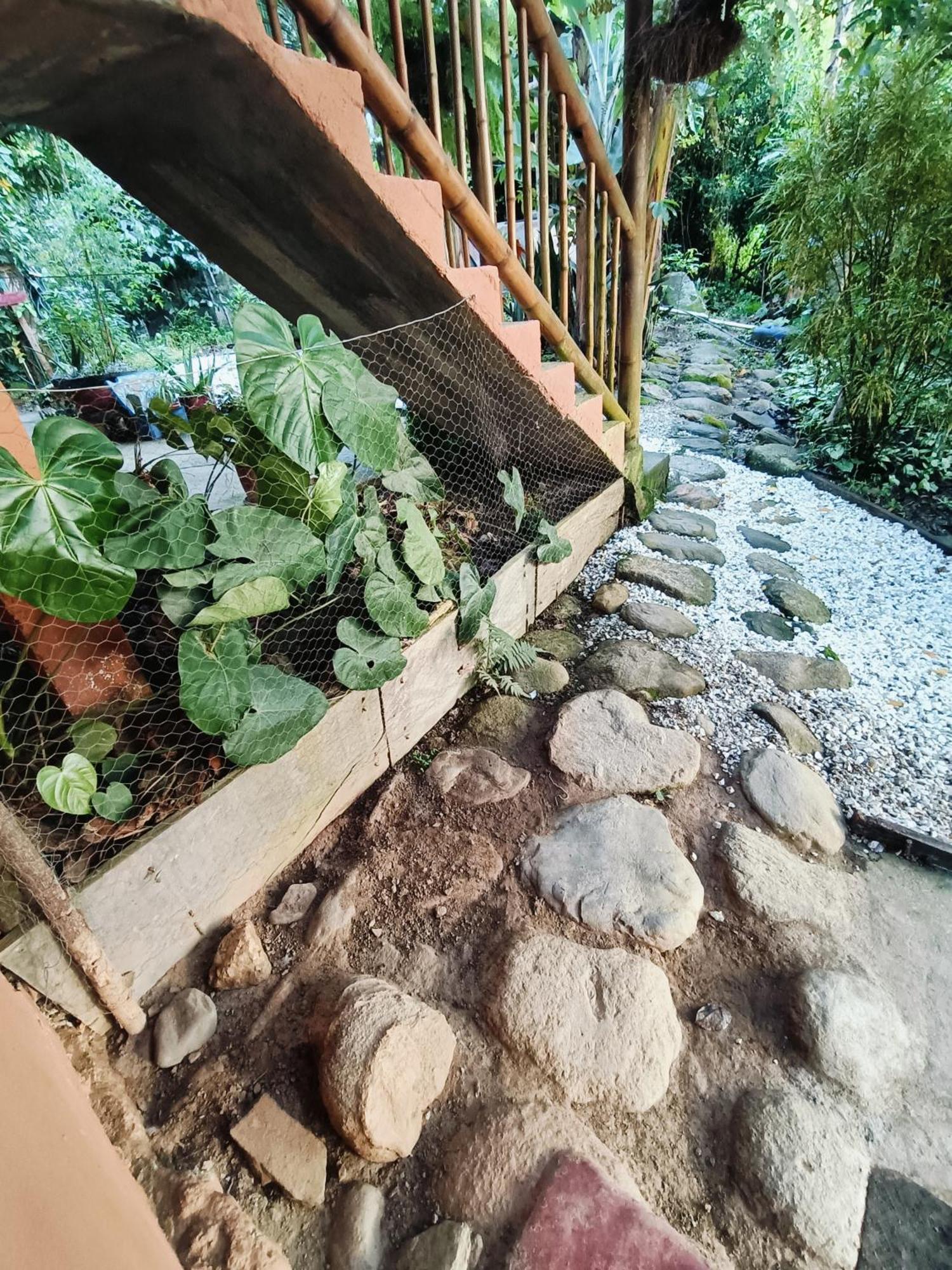 El Eden Minca Villa Ngoại thất bức ảnh