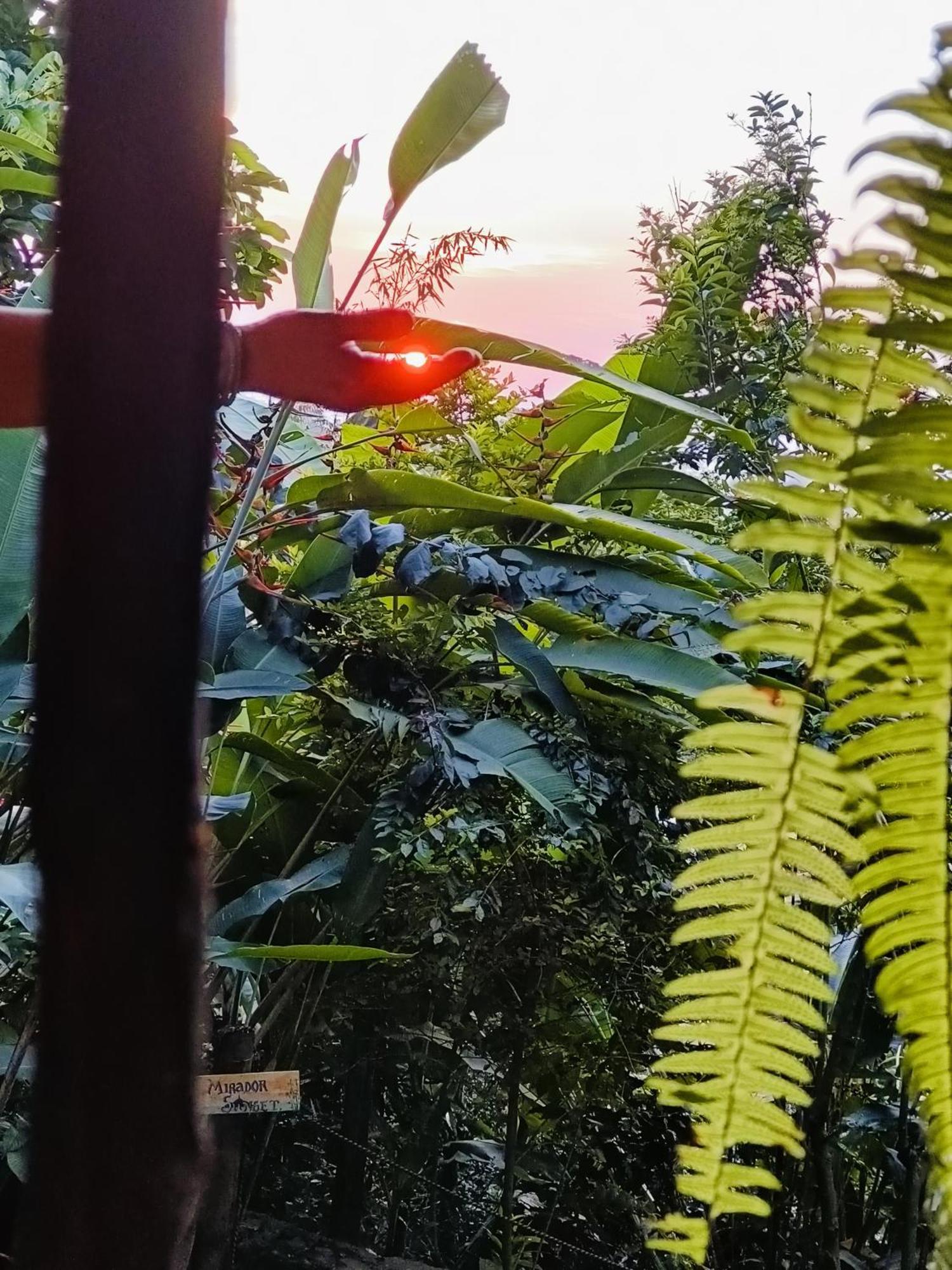 El Eden Minca Villa Ngoại thất bức ảnh