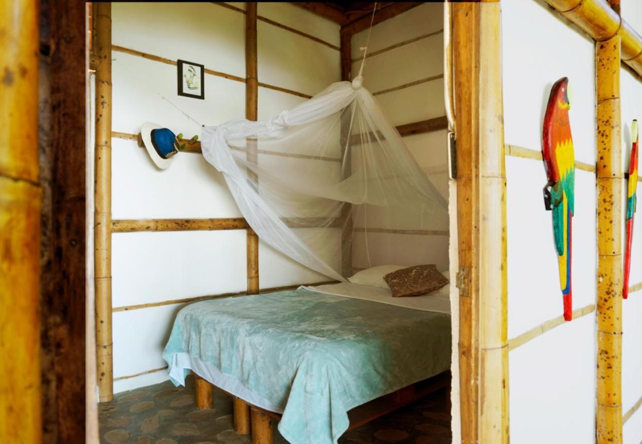El Eden Minca Villa Ngoại thất bức ảnh