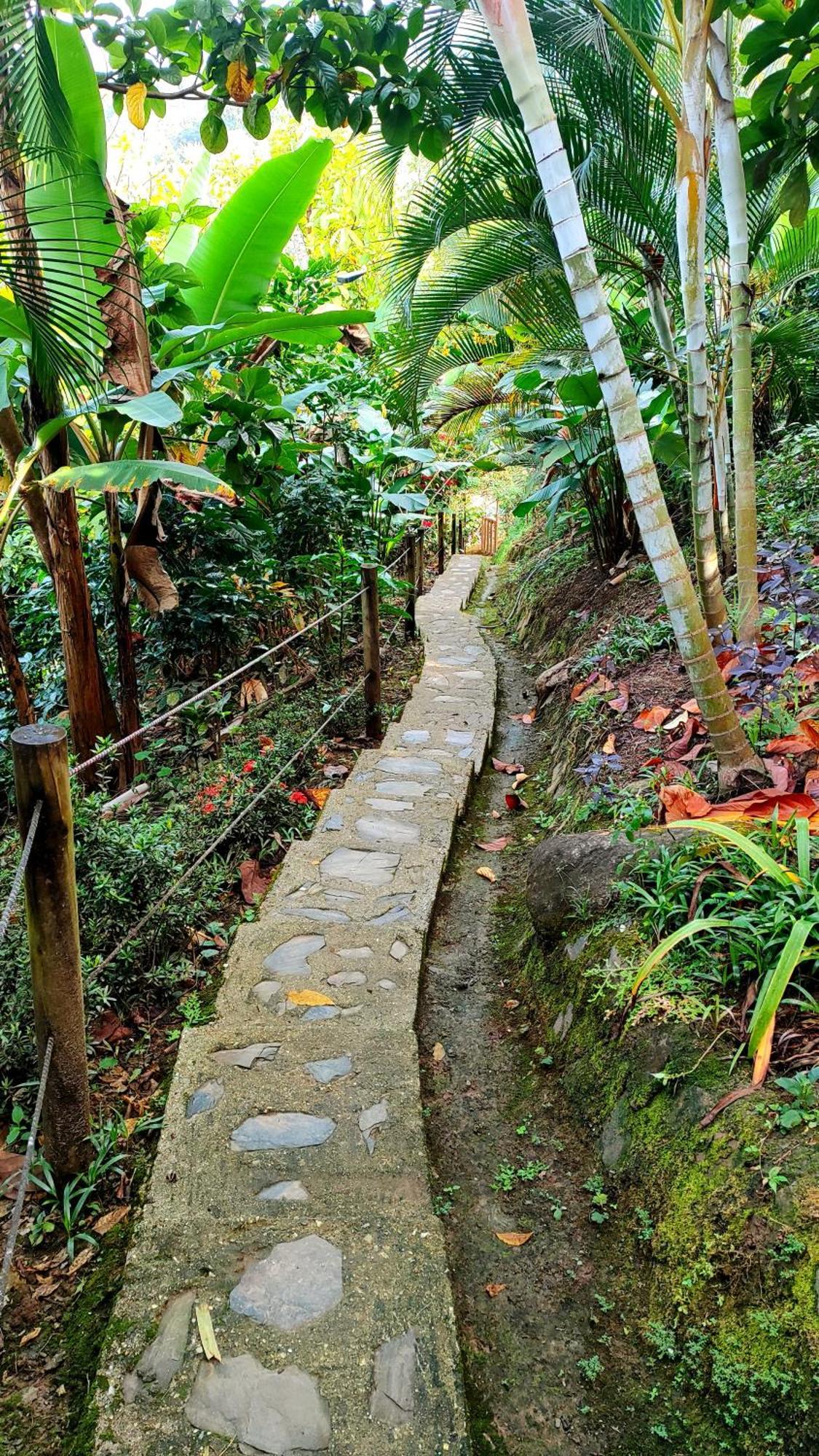 El Eden Minca Villa Ngoại thất bức ảnh